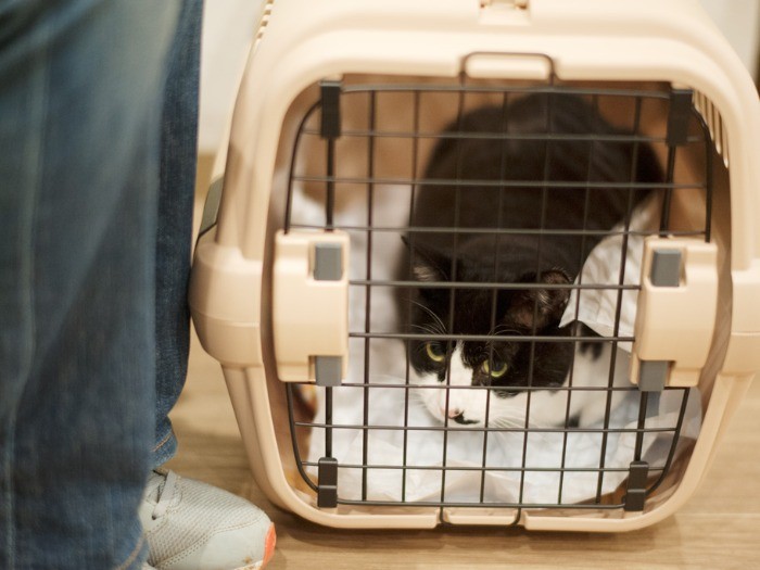 「待合室は退屈。おばちゃんさ、頭大きいけど足は小さいね」（小林写函撮影）