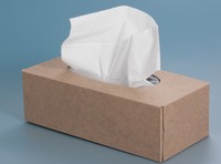 必要なのはティッシュ1枚だけ！※画像はイメージです（Lana Langlois/stock.adobe.com）