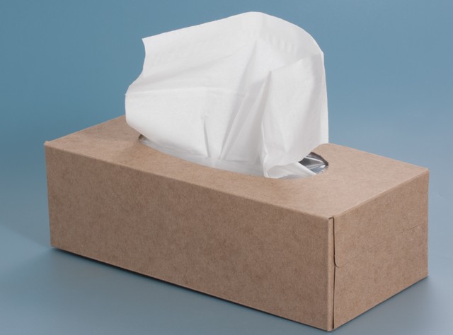 必要なのはティッシュ1枚だけ！※画像はイメージです（Lana Langlois/stock.adobe.com）