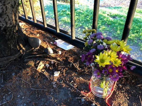 「タヌキ」ちゃんが亡くなった現場付近では、今も花を供える人が絶えないという（提供写真）