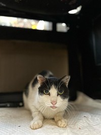 あんた誰？と警戒中＝winwin321321さん提供