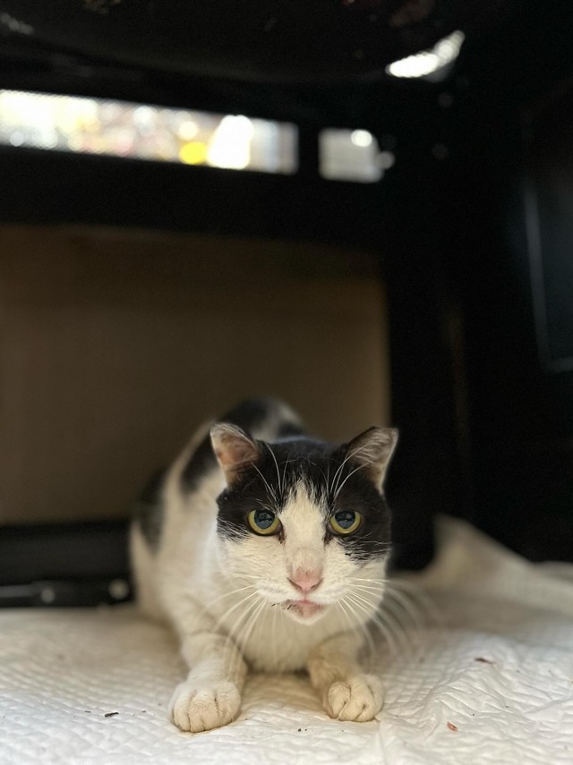 あんた誰？と警戒中＝winwin321321さん提供