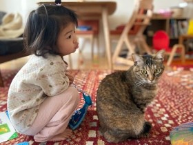 赤ちゃんにヤキモチを焼く愛猫　「妹なんだよ」と毎日語りかけたら、落ち着いていった