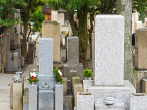 墓を守るのが難しい　「墓じまい」を考えたら知りたい費用、手続き、トラブル事例
