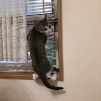 朝から元気にジャンプ！