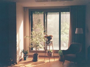 海外赴任先で同僚と不倫。問いつめる夫に嘘をつき、離婚を免れた私の今