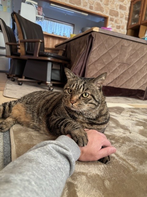 パパにタッチするも、視線はママのほうに…