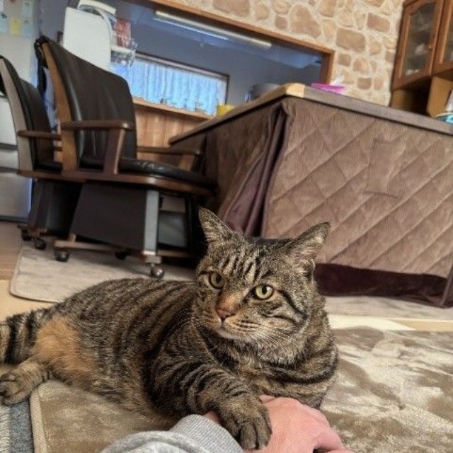 パパにタッチするも、視線はママのほうに…