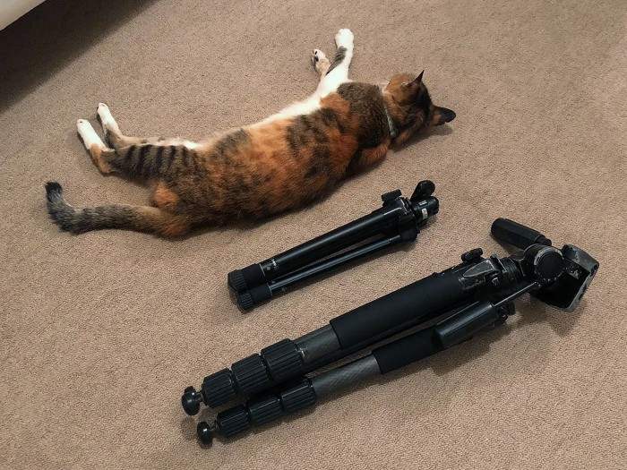 三脚二本、四脚一本