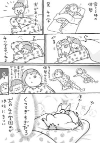 漫画「犬と猫どっちも飼ってると、きつい体勢もなんだか楽しかったり」（提供：松本ひで吉さん）