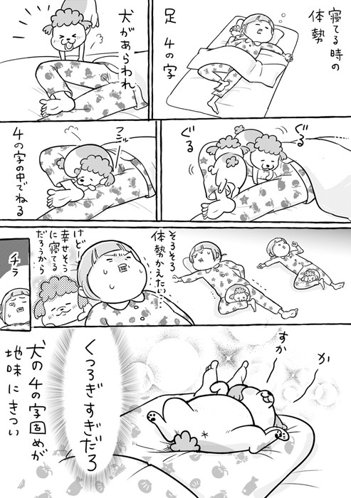 漫画「犬と猫どっちも飼ってると、きつい体勢もなんだか楽しかったり」（提供：松本ひで吉さん）