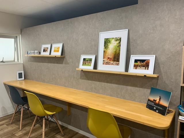 さすが奈良！鹿の写真が飾られています（提供）