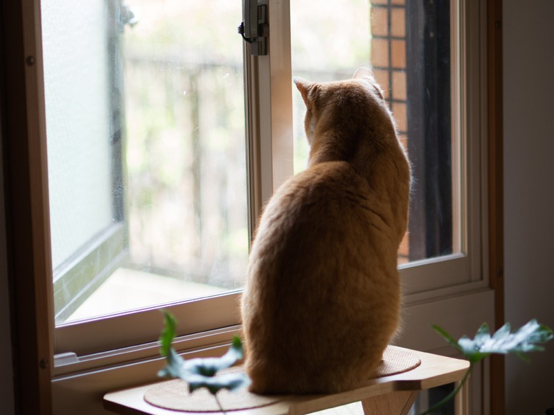「たしかに外は寒かったよな」（小林写函撮影）