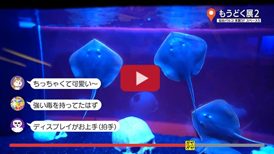 #87もうどく展２②