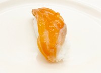 北極圏で見つけた生サーモン