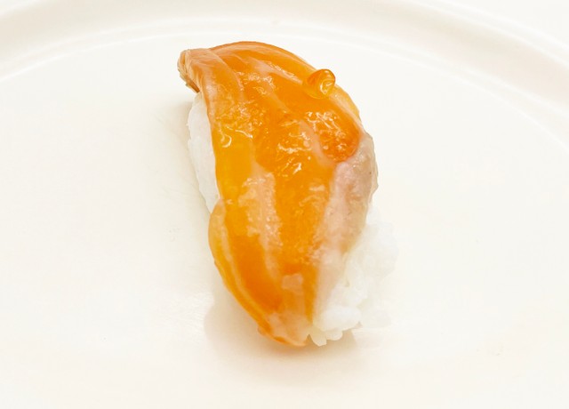 北極圏で見つけた生サーモン