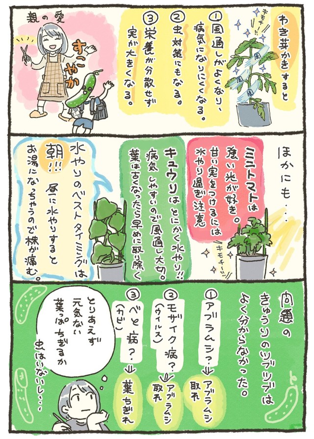 【漫画】『家庭菜園 初収穫の話』13（おべちさん提供）