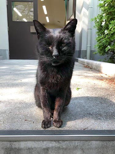 すみかだった大講義室の前に座る斎藤さん＝まちかねこ調査隊提供