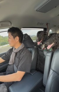 ウィルくんとロビンちゃんと一緒に車で遠征（「BORZOI WILL &ROBIN」さん提供、Instagramよりキャプチャ撮影）