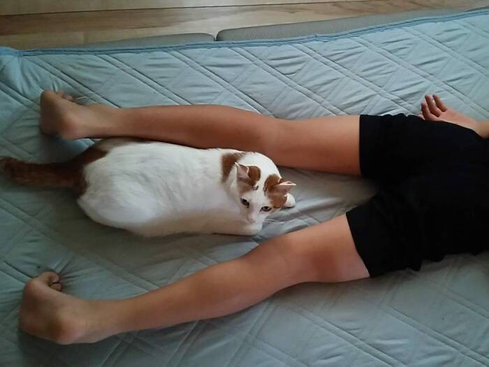 布団なしバージョン（黒尾さん提供）