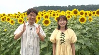 MCの藤井隆（左）と井上咲楽＝「新婚さんいらっしゃい！」8月24日放送回よりⓒABCテレビ