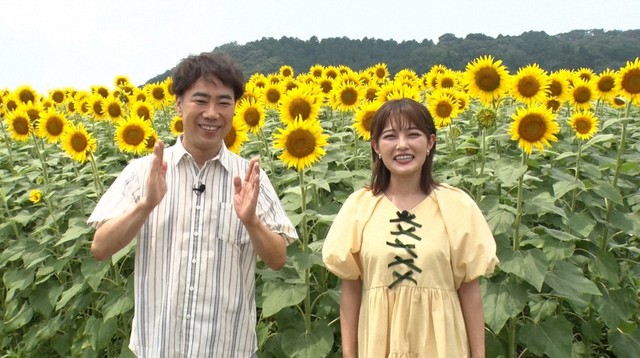 MCの藤井隆（左）と井上咲楽＝「新婚さんいらっしゃい！」8月24日放送回よりⓒABCテレビ
