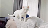 「ママ、どこ？」 キョロキョロ見回すボンちゃん（画像提供：ボンさん）