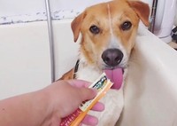 スタッフの手からおやつを食べられるようになりました