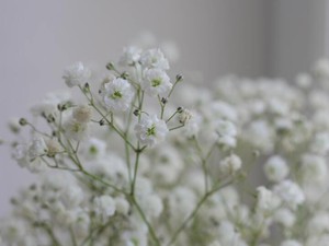 私まで温かくした、もう会えない人の愛。「ありがとう」と涙が流れる