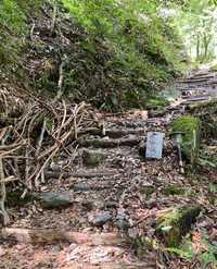 京都市内の「山」で、高齢者やインバウンド客の無謀な登山による「遭難」や「事故」が後を絶たないという（画像提供：月輪寺【公式】）