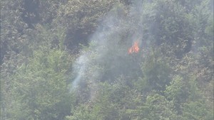 【速報】仙台市青葉区で「山から煙が見える」　ポンプ車など１３台出動