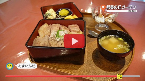 #259都美の丘ガーデン①