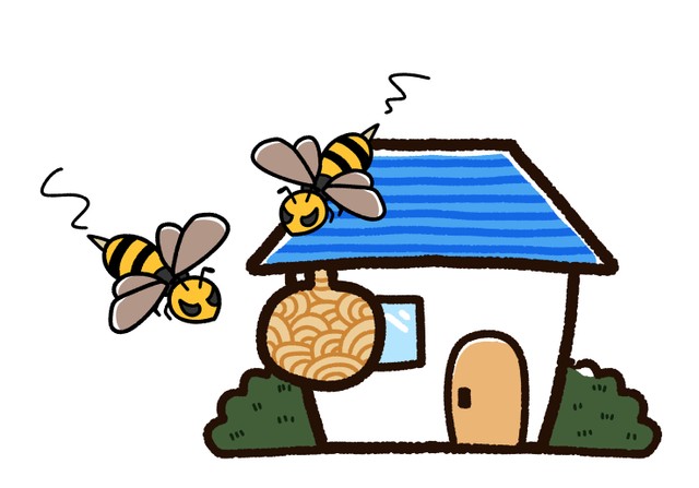 自宅や庭で蜂の巣を見つけたら？※画像はイメージです（ゆりゆりのゆり/stock.adobe.com）