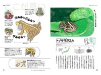 fe77f8347cbbce444e0453cc700928