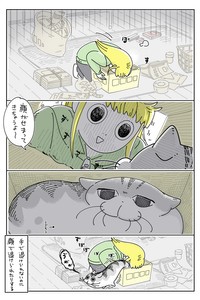 【漫画】「ネコと箱を奪い合う」（提供：キュルZさん）