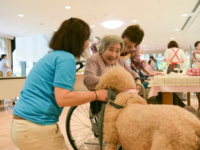 「可愛いわんちゃんね」（特別養護老人ホームきく、JAHA提供／石垣星児撮影）