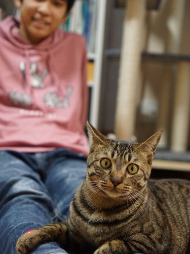 ねこかつから預かっていたアルディ