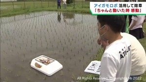 アイガモ型のロボットを活用し小学生が米作りに挑戦　仙台・宮城野区の岡田小学校