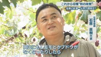 石原果樹園／石原直樹 代表