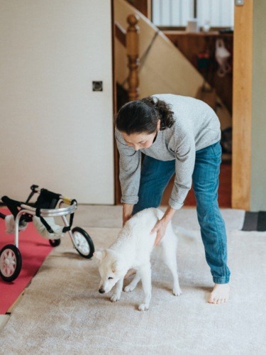 亡くなる1年くらい前から腰が立たなくなり、歩行器生活になった（写真提供：幸子さん）
