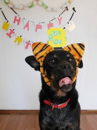 推定3歳の誕生日を迎えて