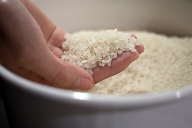 コメ　※写真はイメージ（JUNxxx/stock.adobe.com）