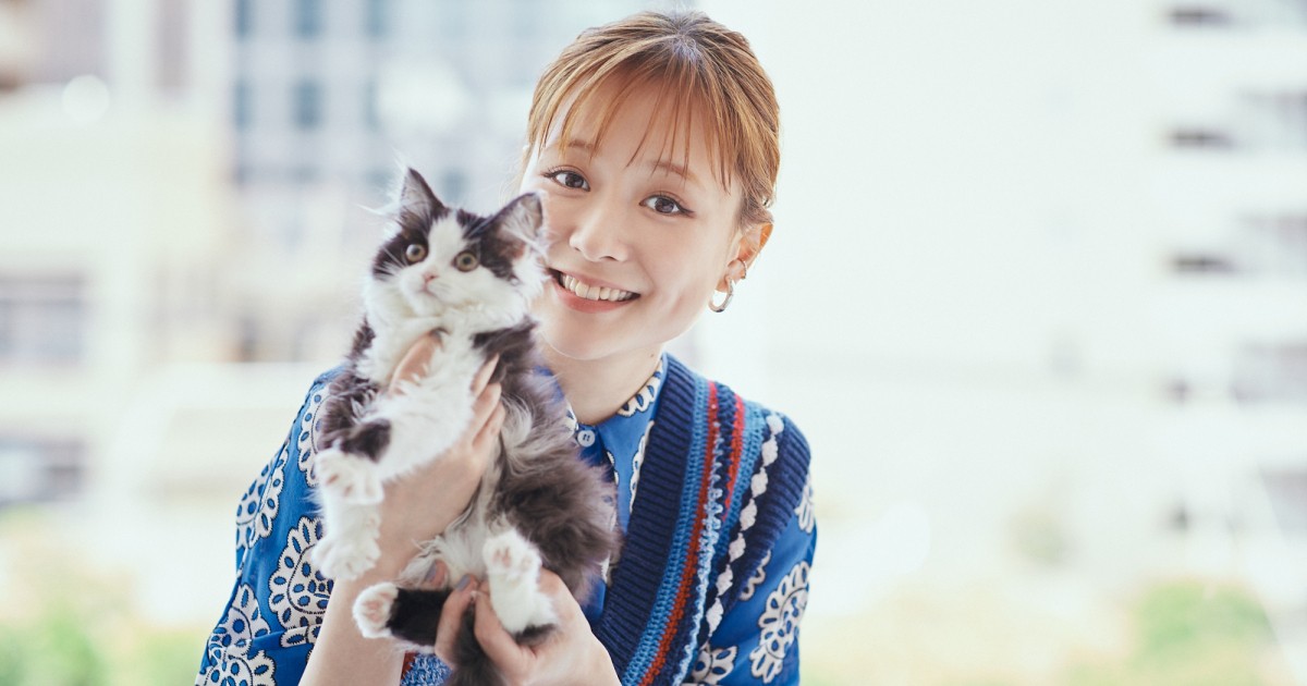 映画『犬部！』の大原櫻子さん 愛情ダダもれ！保護猫VRを初体験