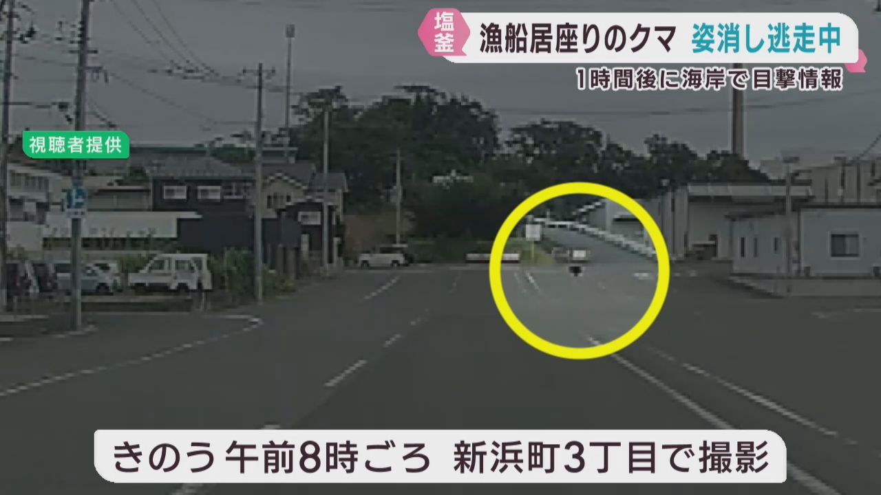 目撃情報相次ぐも発見確保には至らず　漁船に居座ったクマはどこへ？　乗組員は無事「波にも負けない強さの個室で安心感あった」宮城・塩釜市