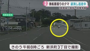 目撃情報相次ぐも発見確保には至らず　漁船に居座ったクマはどこへ？　乗組員は無事「波にも負けない強さの個室で安心感あった」宮城・塩釜市