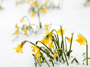 復縁したかったのに叶わなかった。私は、恋で脆くなってしまっていた