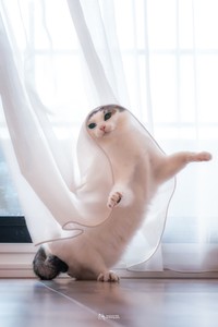 後光が射しているよう…！（画像提供：小野一俊さん）