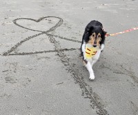 ついにニコちゃんが幸せをゲット！