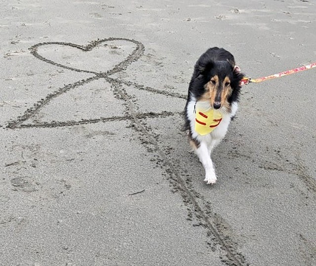 ついにニコちゃんが幸せをゲット！