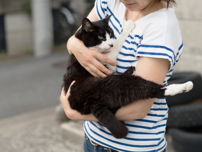 「昔この空き地にいたって？知らないよ、僕はずっとおばちゃんちのコだもん」（小林写函撮影）